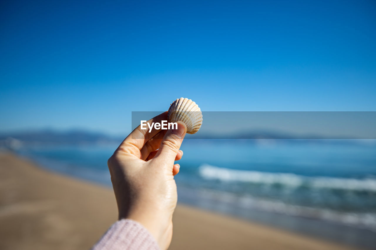 CLOSE-UP OF HAND HOLDING SEASHELL ON BEACH