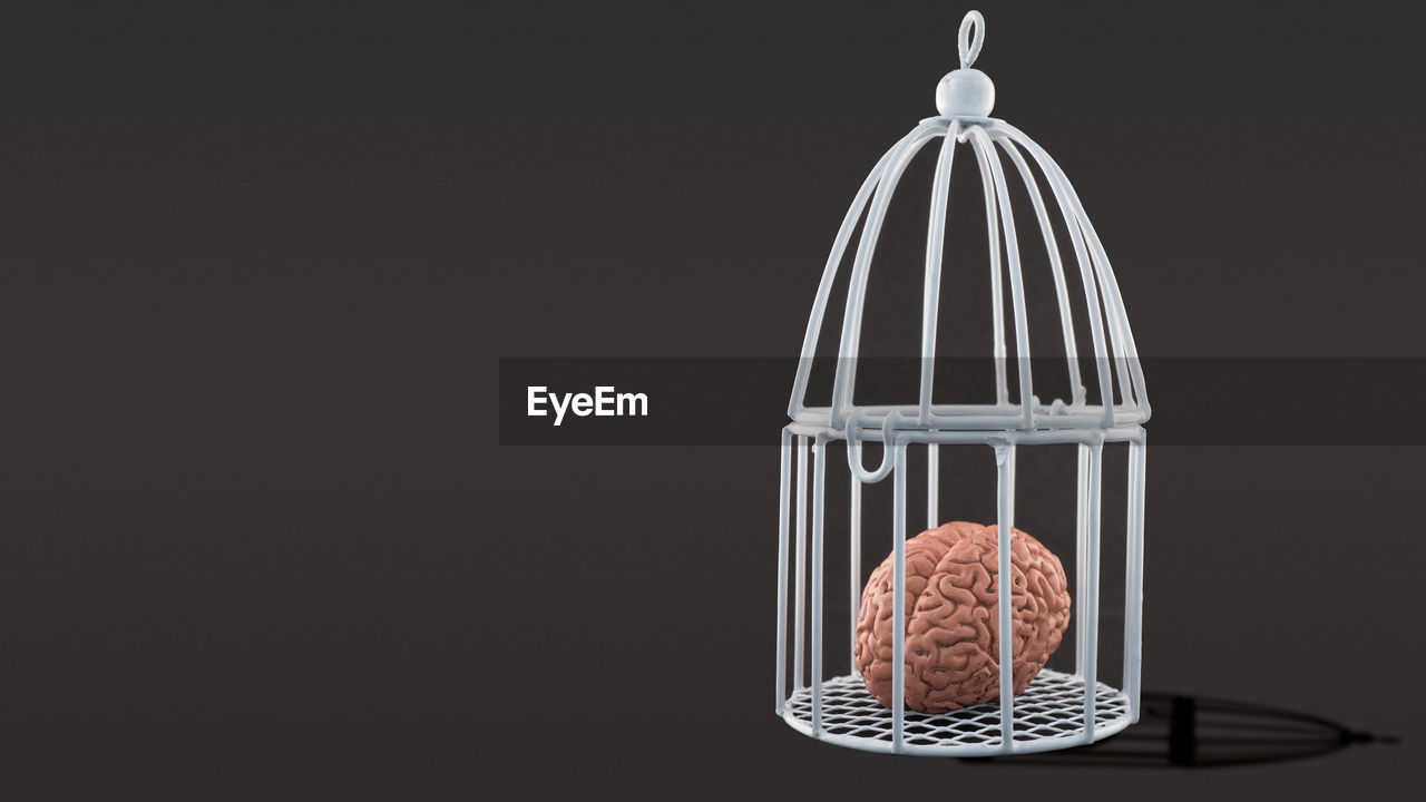 Human brain in cage on black background