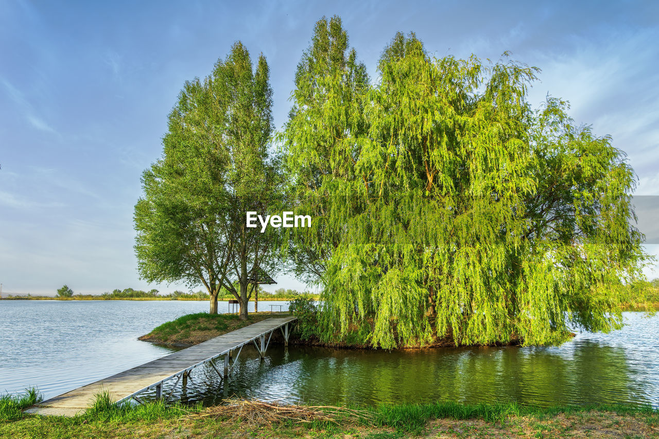 Green island on the lake connected by a pier to the shore