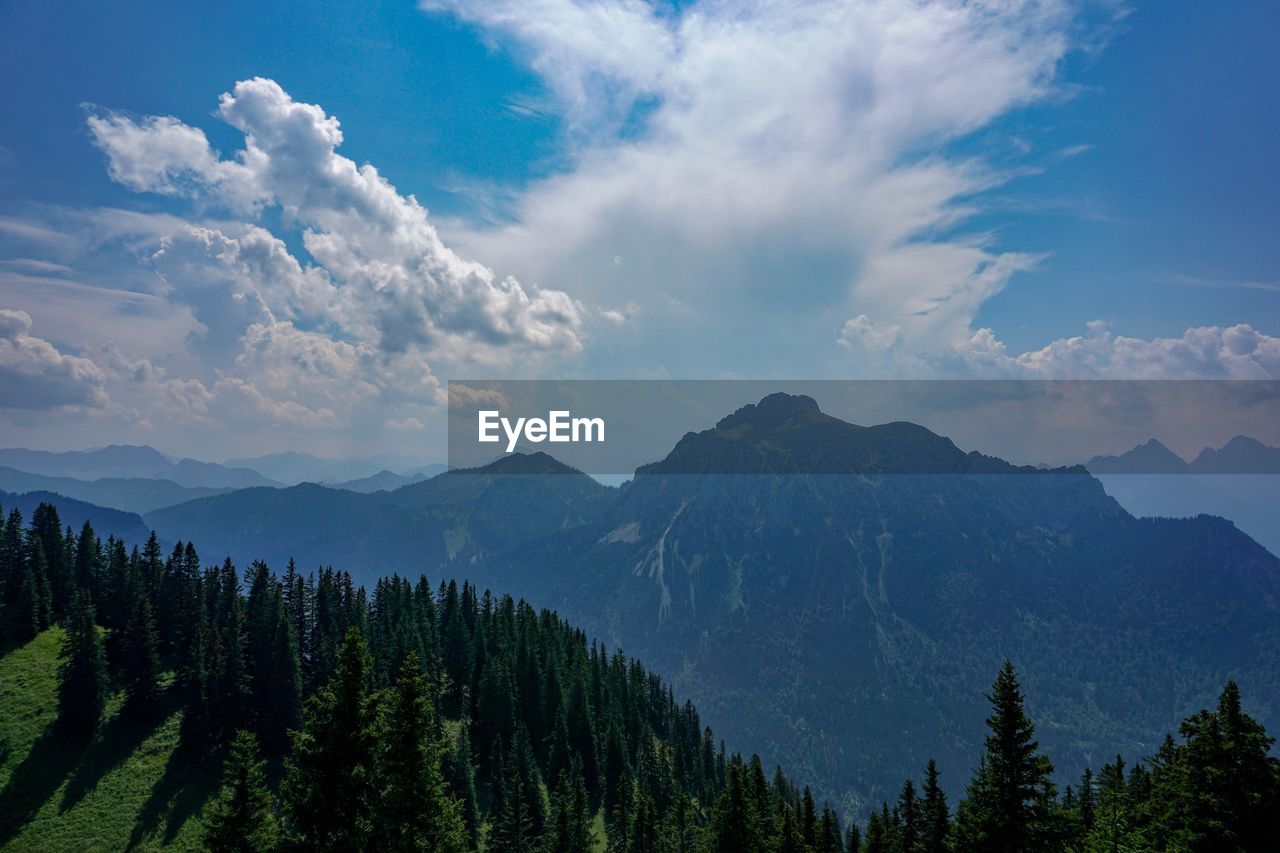 PANORAMIC VIEW OF TREES ON MOUNTAIN AGAINST SKY