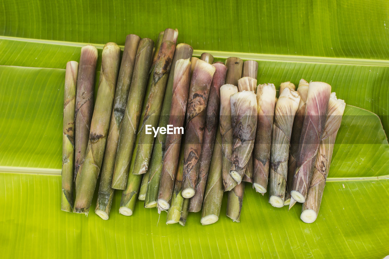 Lots of evergreen bamboo shoots on banana leaves.