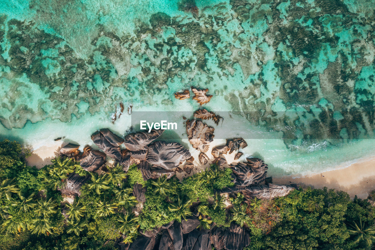 Aerial view of tropical seashore