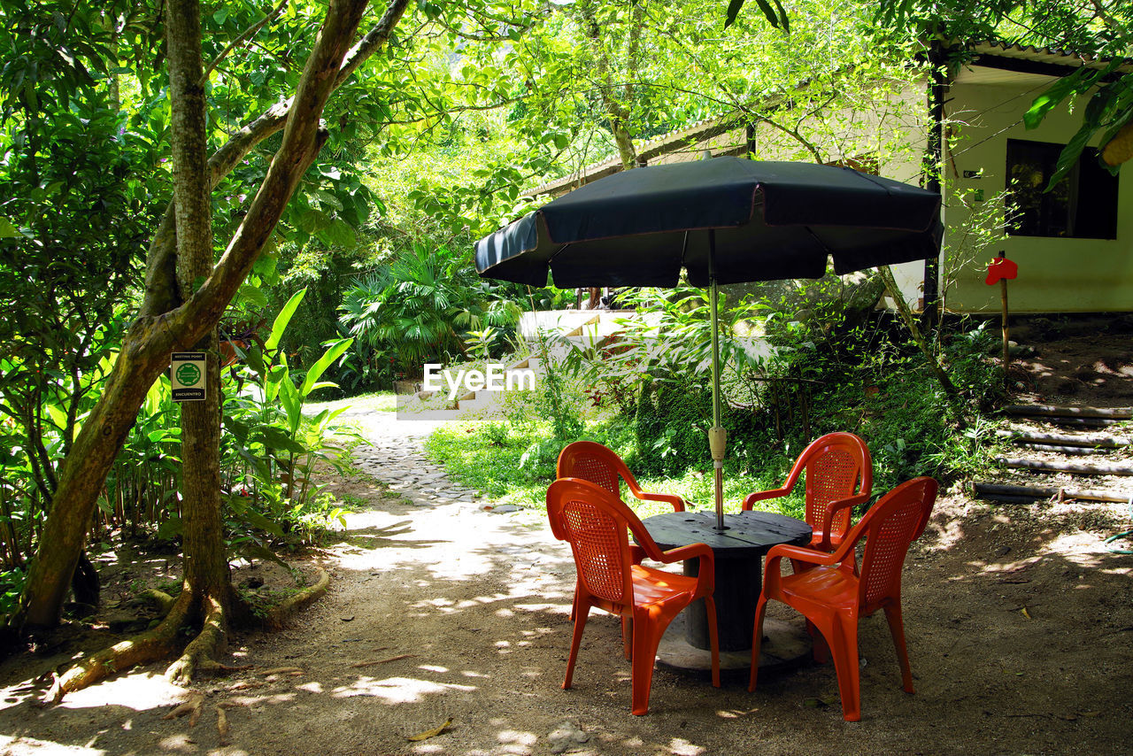 EMPTY CHAIRS AND TABLE IN FOREST