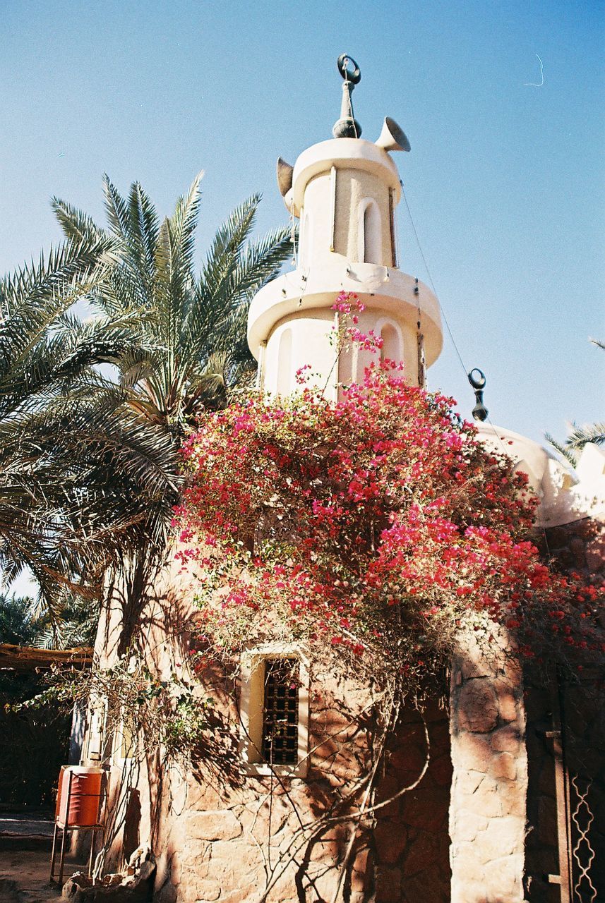 Low angle view of building and trees against sky