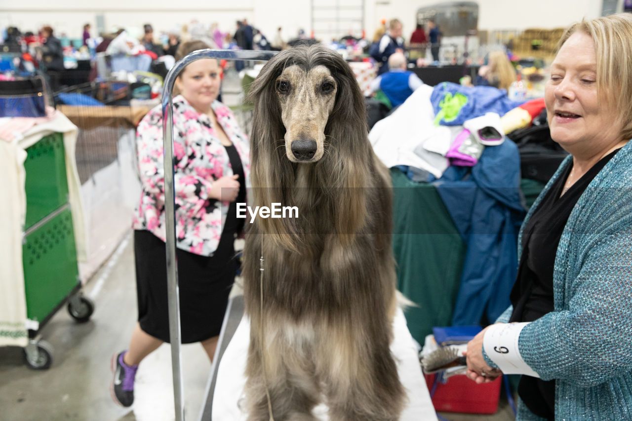 WOMAN WITH DOG WITH PEOPLE ON STREET