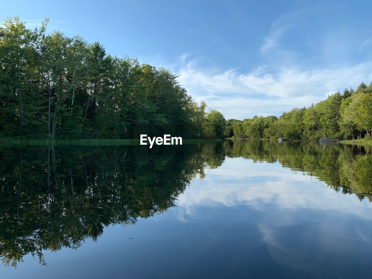 Scenic view of lake by trees against sky