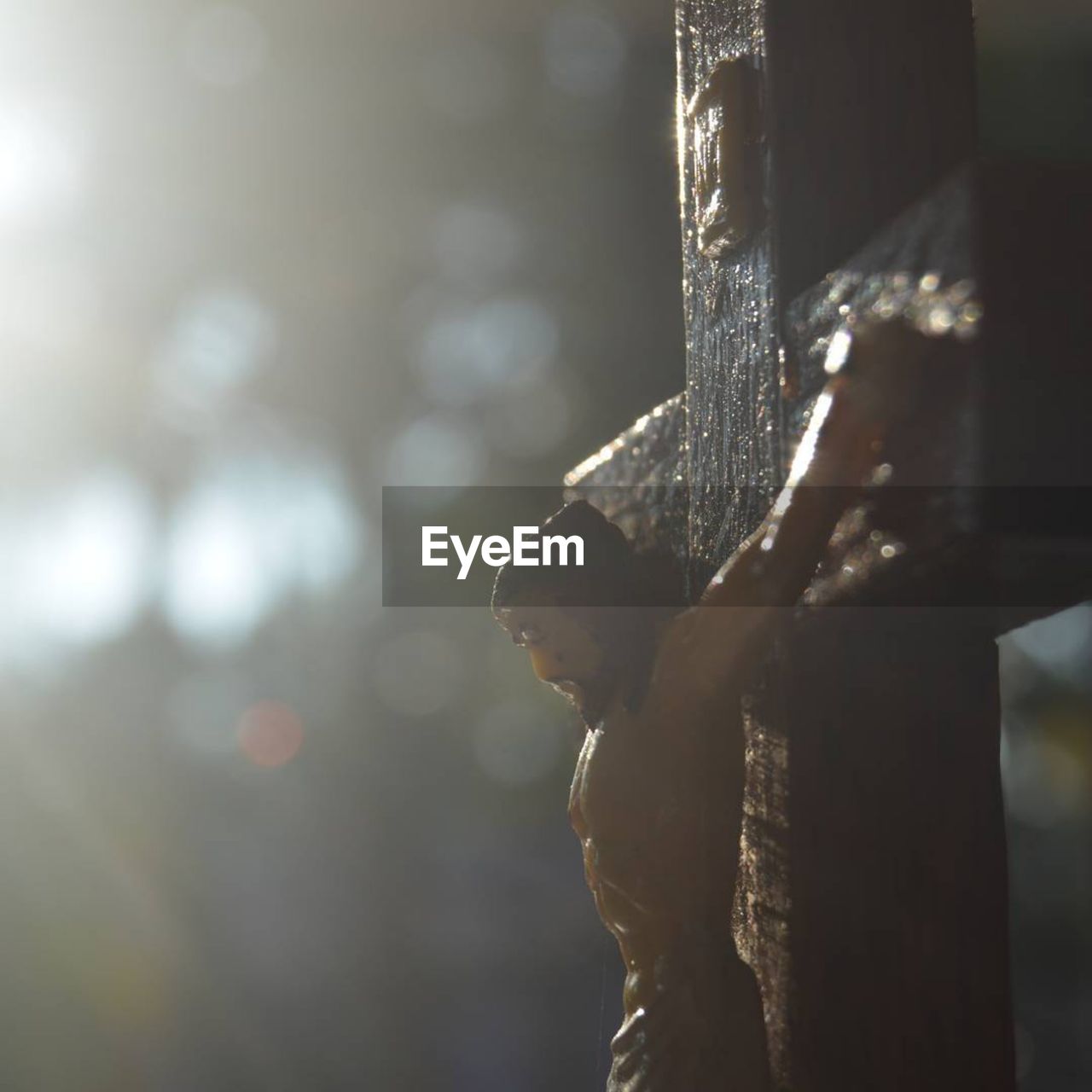 CLOSE-UP OF TREE TRUNK AGAINST BLURRED BACKGROUND