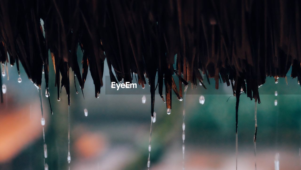 Close-up of raindrops falling from roof during rainy season