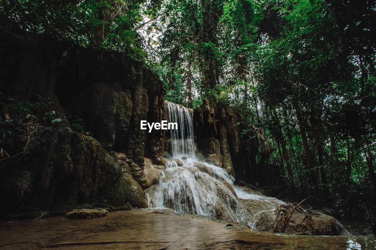 Scenic view of waterfall in forest