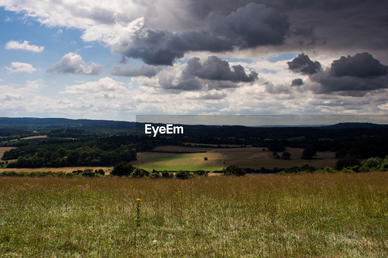 Scenic view of field against sky