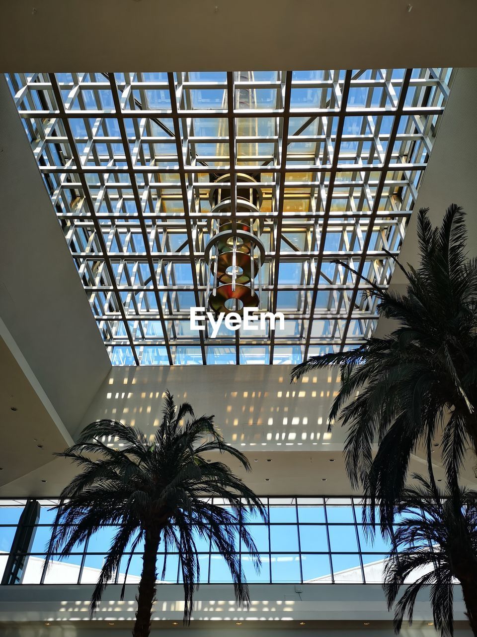 LOW ANGLE VIEW OF PALM TREE AGAINST SKY