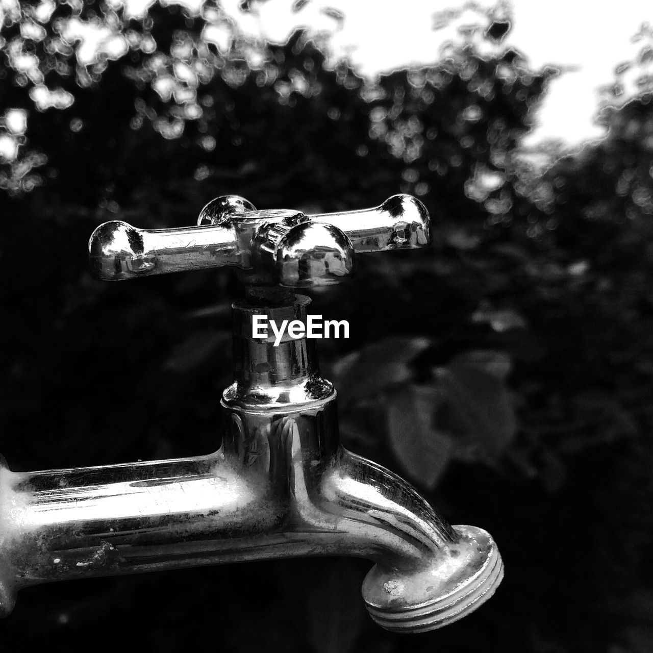 Close-up of faucet outdoors