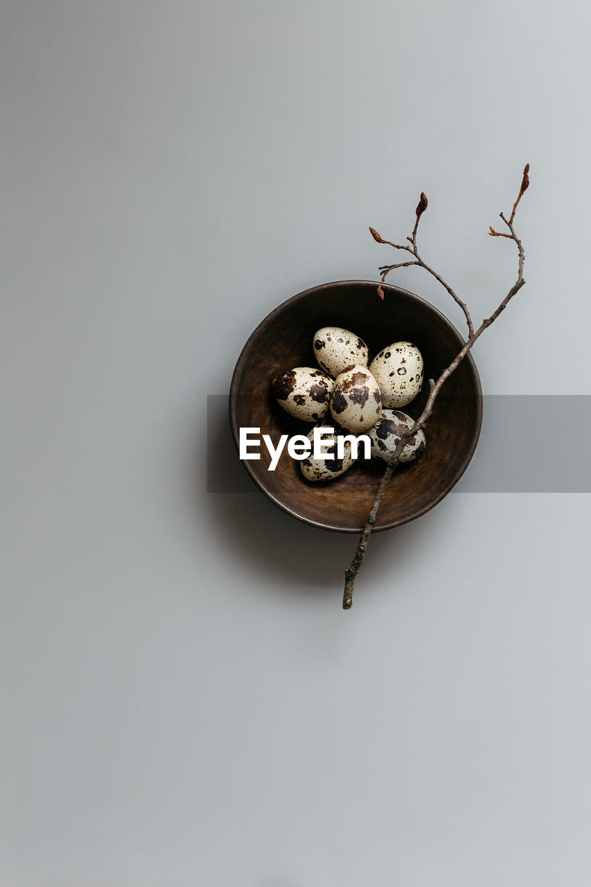 Directly above shot of quail eggs in plate on white background