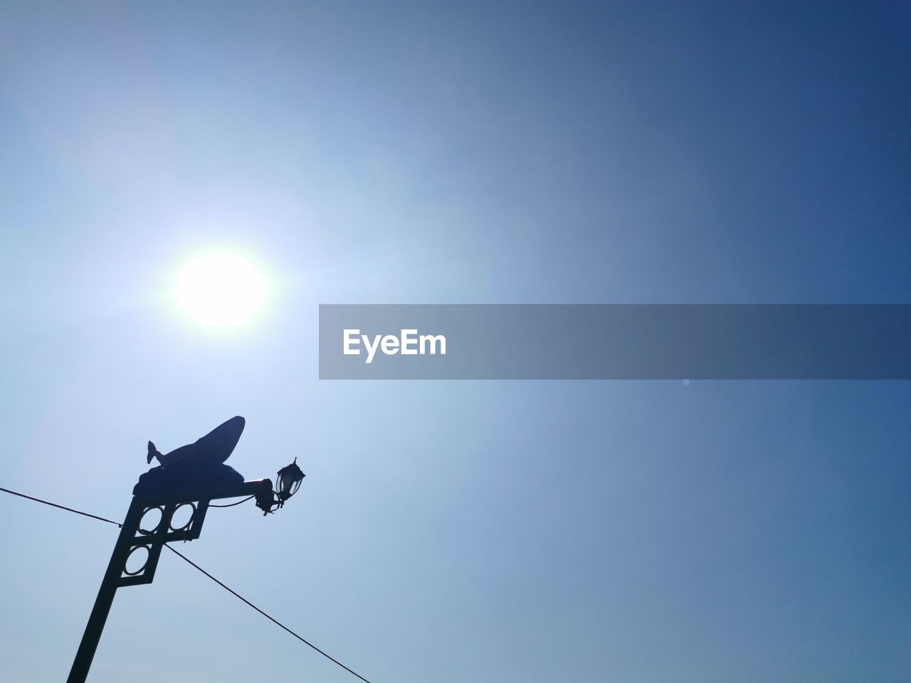 LOW ANGLE VIEW OF A BIRD ON A POLE