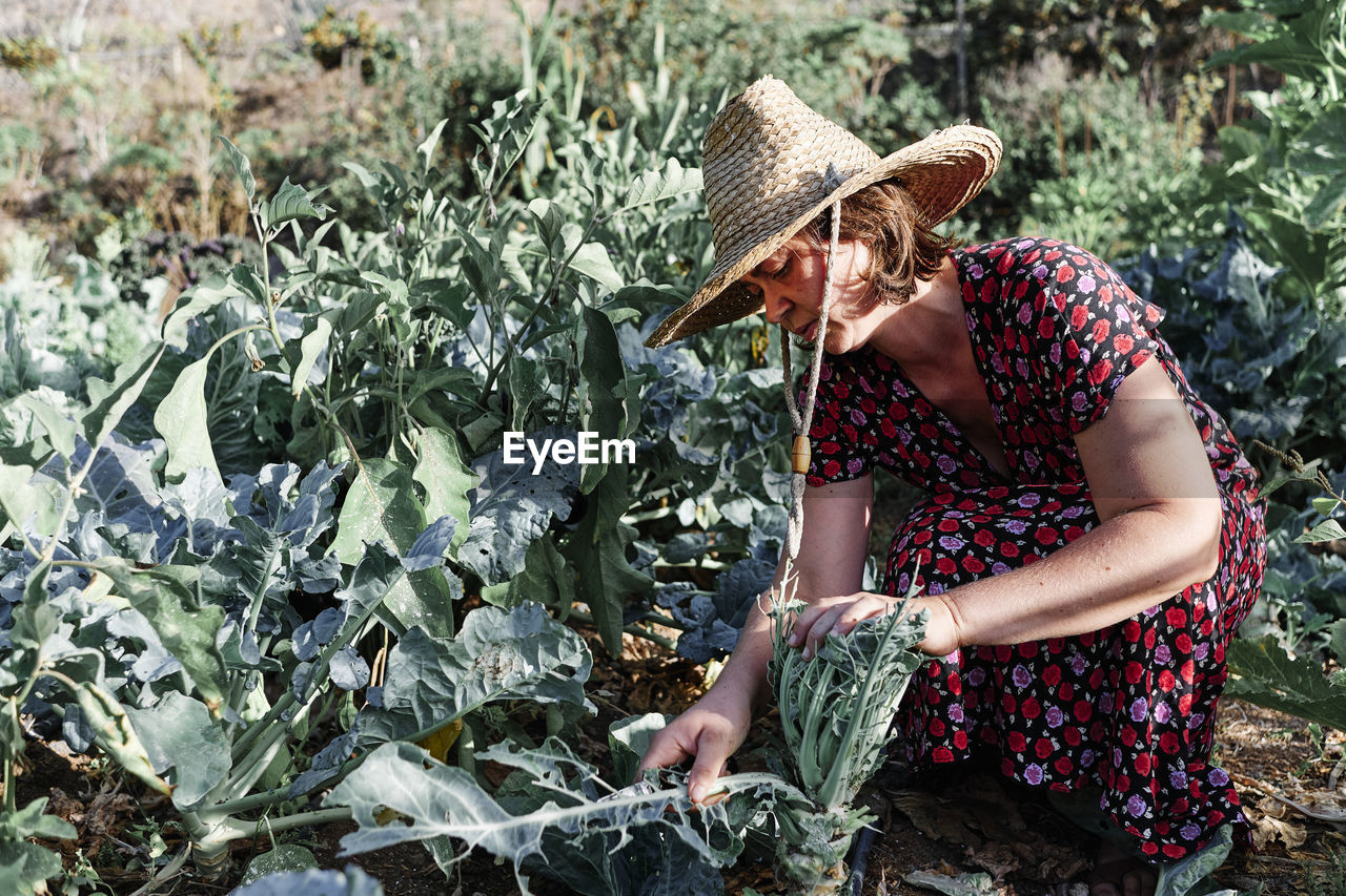 Female farmer wearing sun hat while working in farm on sunny day