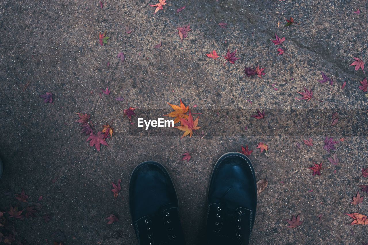 Low section of person standing on street during autumn