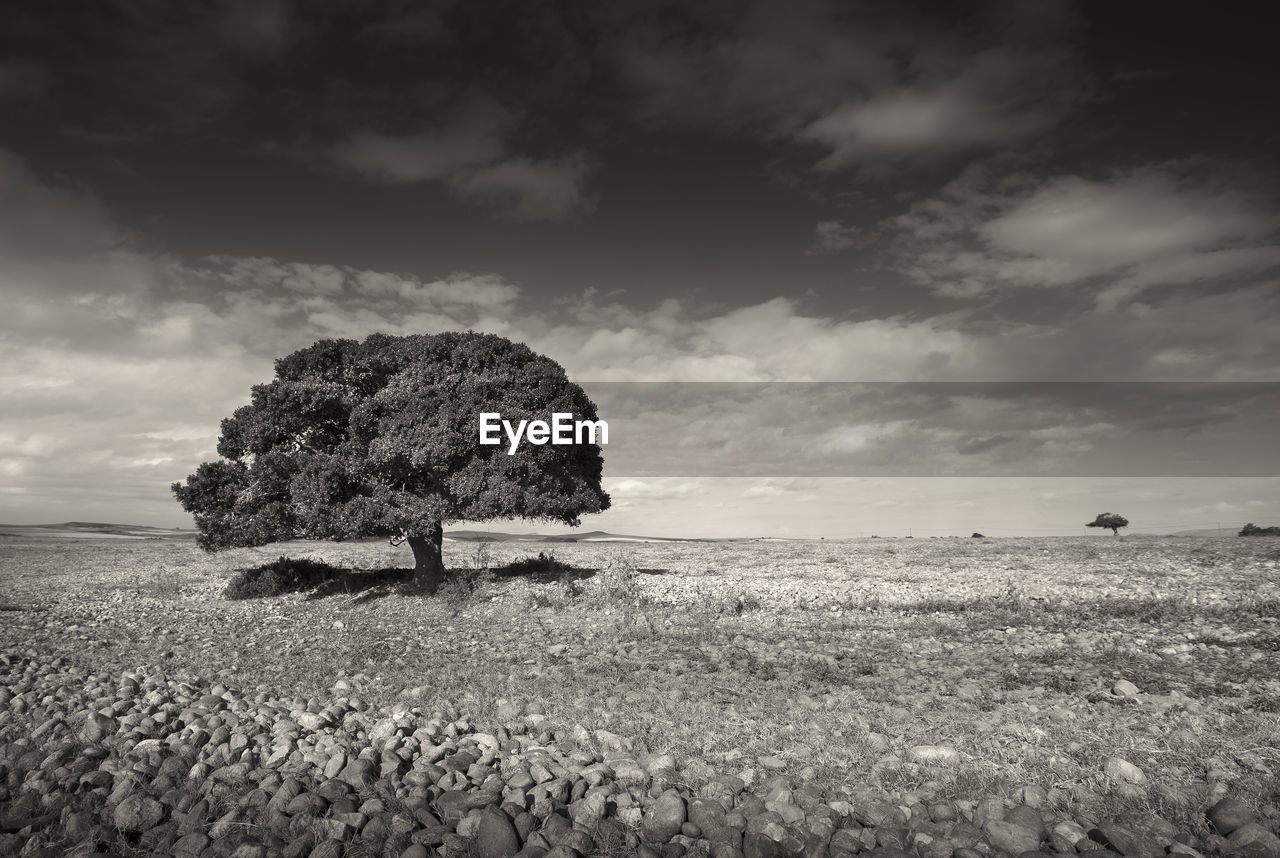 SCENIC VIEW OF LAND AGAINST SKY