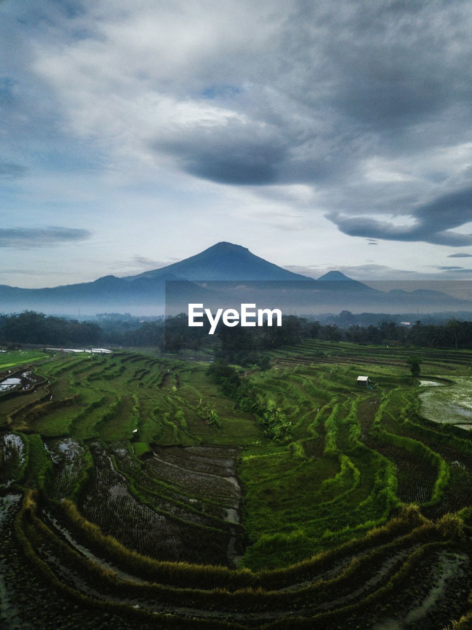 landscape, environment, mountain, scenics - nature, agriculture, land, rural scene, cloud, sky, field, nature, highland, crop, plant, beauty in nature, terrace, farm, rural area, plateau, plain, no people, tranquility, travel, fog, growth, mountain range, outdoors, terraced field, green, social issues, rice paddy, valley, rice, food and drink, environmental conservation, tranquil scene, morning, tree, plantation, overcast, grassland, aerial photography, food, architecture, tea crop, travel destinations, building