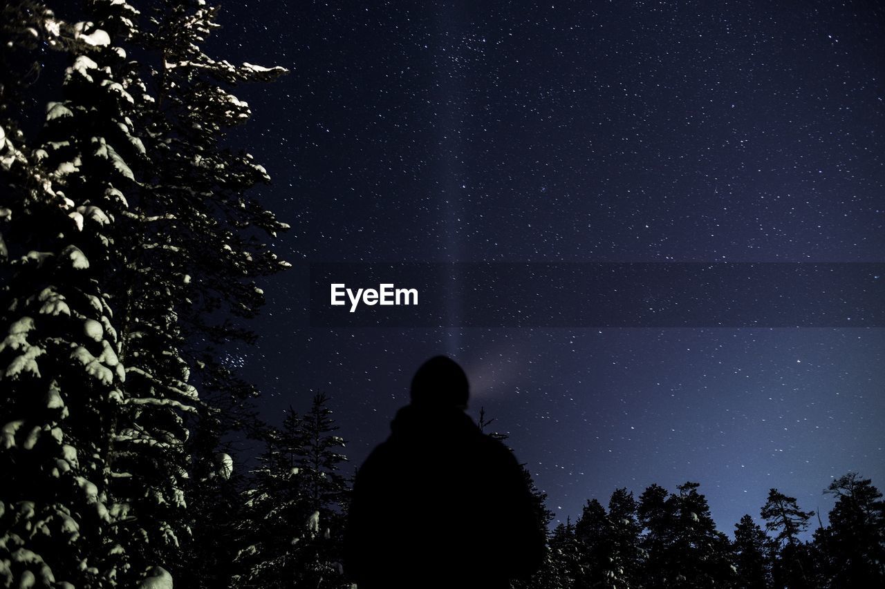 Low angle view of trees at night