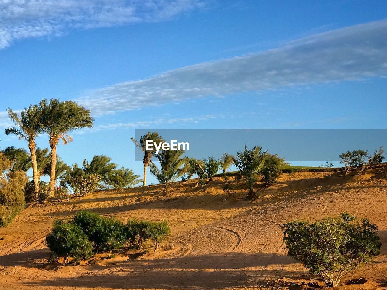 Road by trees on landscape against blue sky