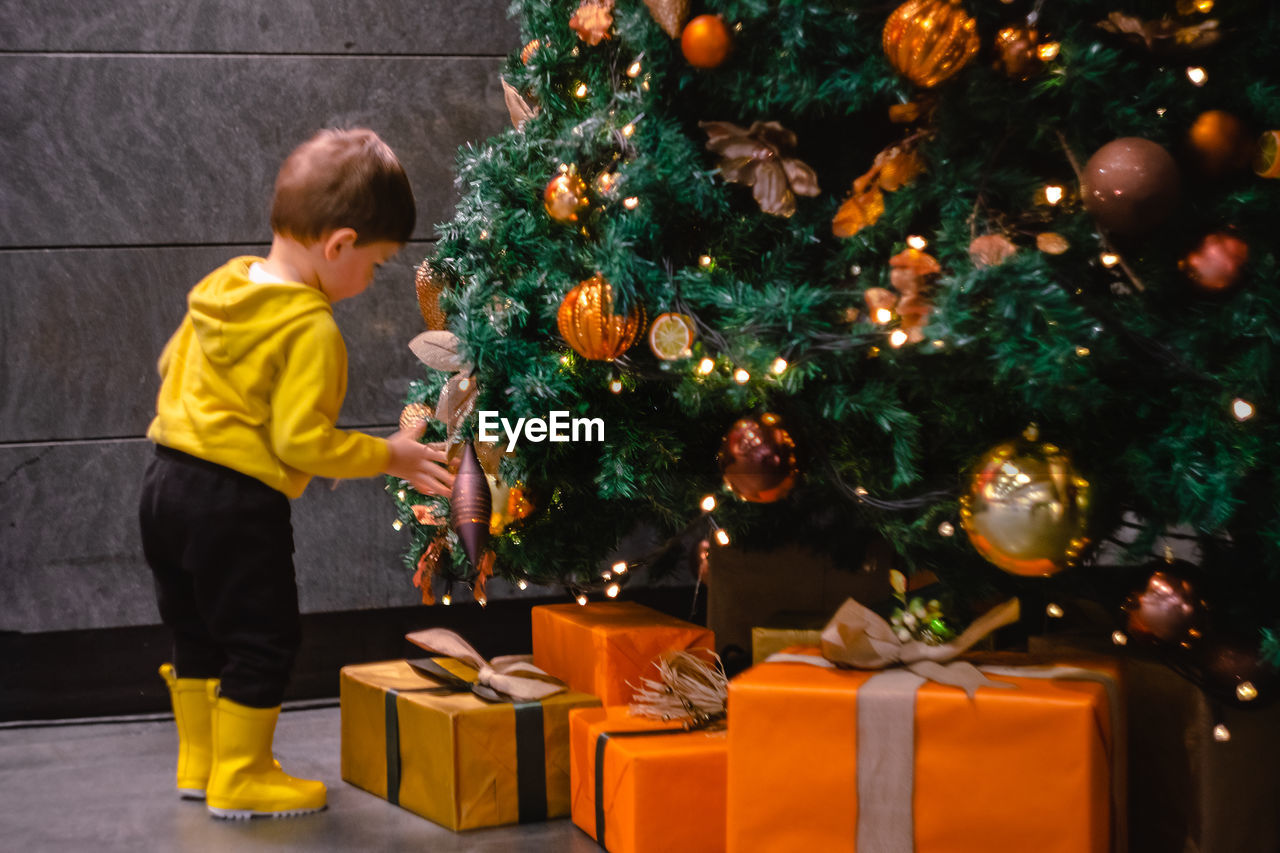 REAR VIEW OF BOY WITH CHRISTMAS TREE ON PLANT