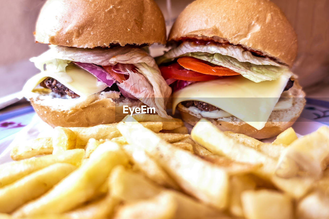 Close-up of burger and french fries