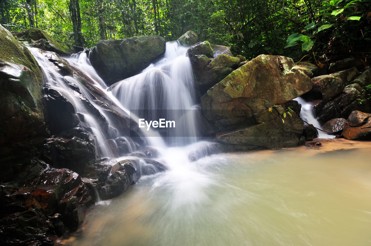 WATERFALL ALONG TREES