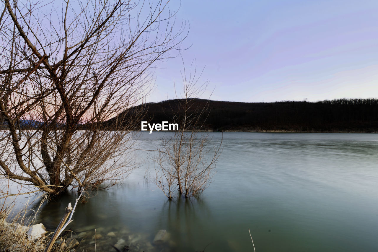 BARE TREES BY LAKE AGAINST SKY