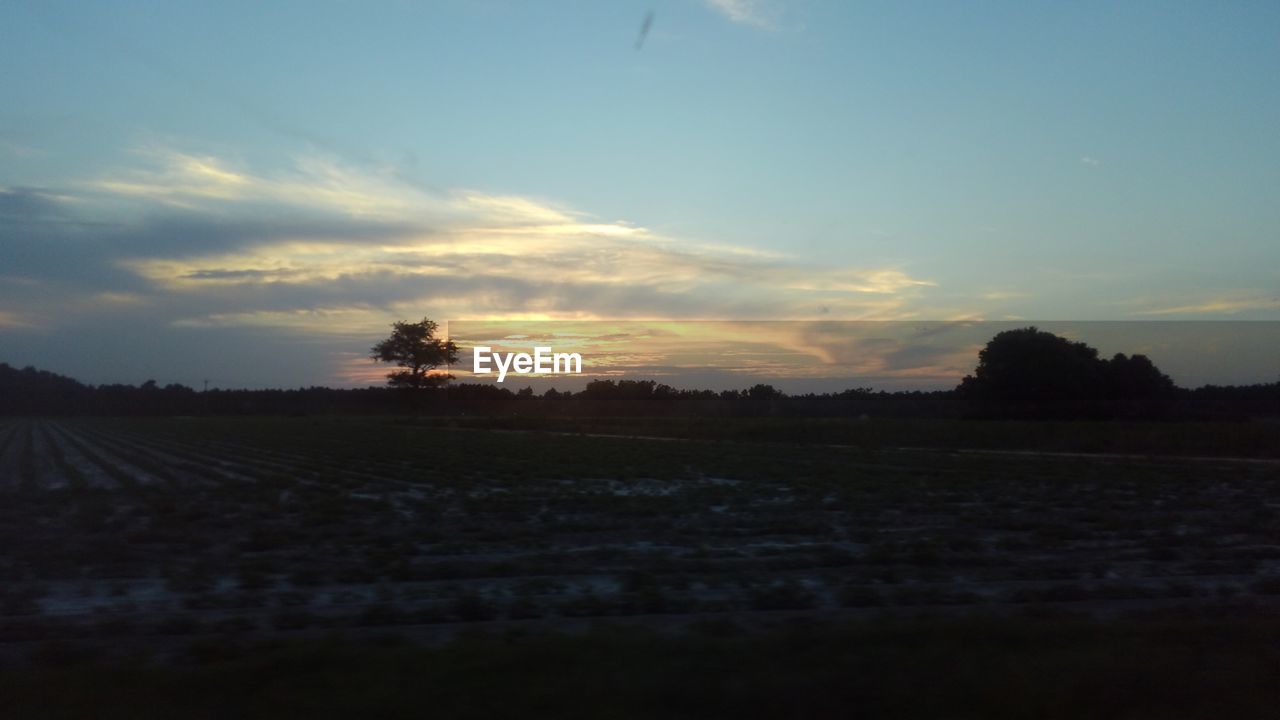 SILHOUETTE FIELD AGAINST SKY DURING SUNSET