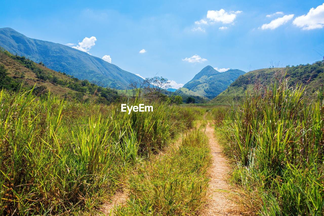 Tire track on grassy field by mountains against sky