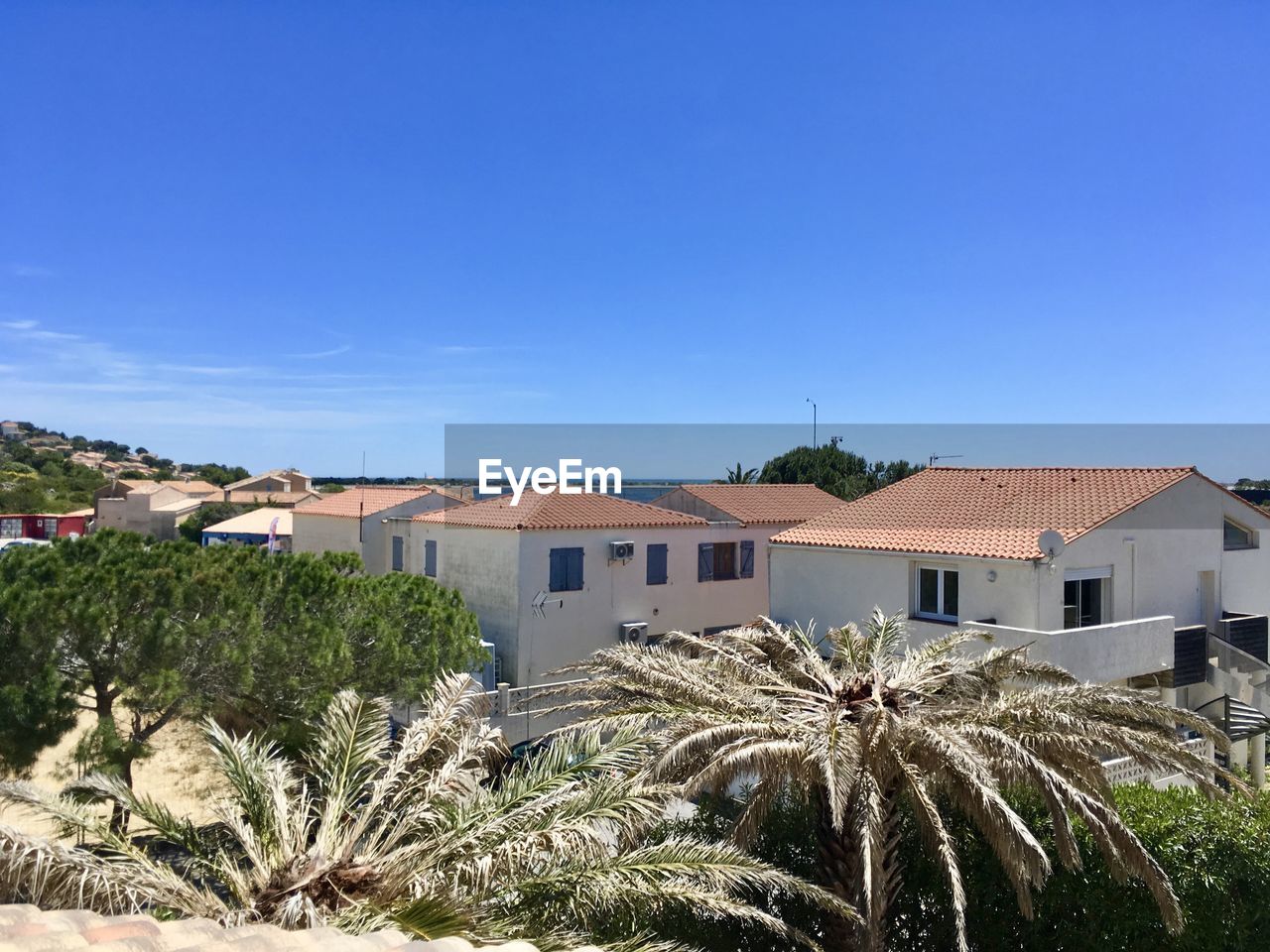 Townscape and palm trees with sea in background against blue sky