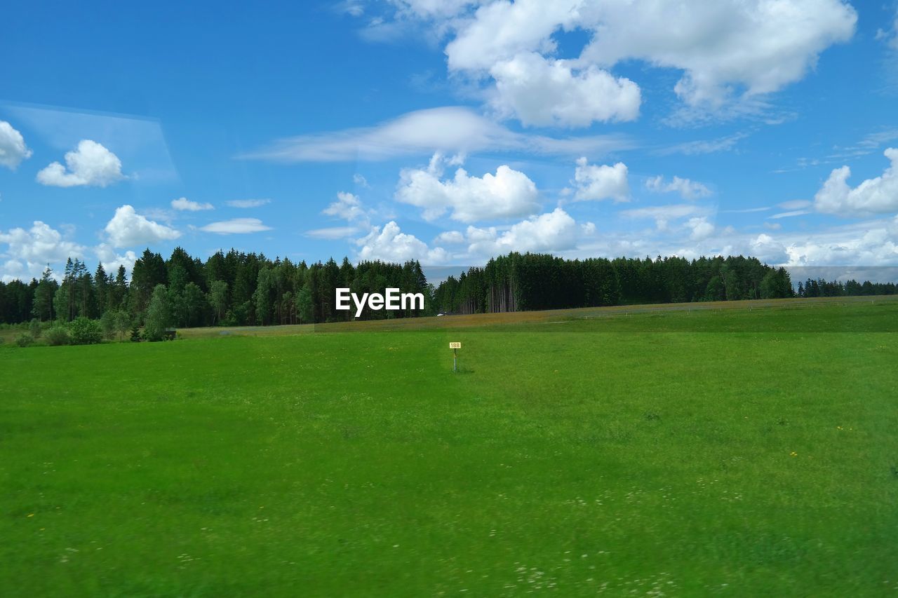 SCENIC VIEW OF GRASSY LANDSCAPE AGAINST CLOUDY SKY