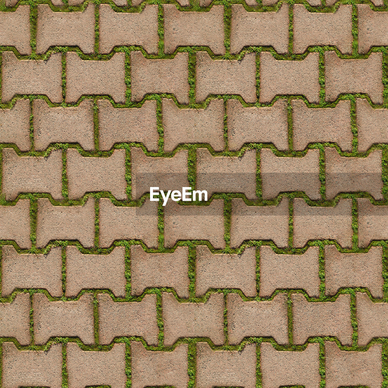 Seamless texture of green grass sprouted between bricks of cobblestone path, top view. 