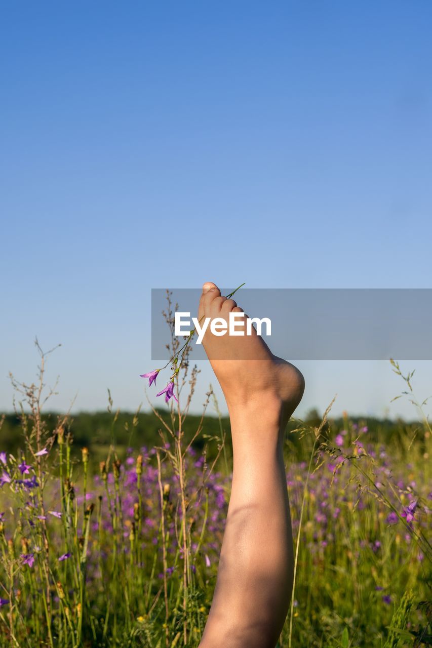 Low section of human feet on purple flowering meadow against sky