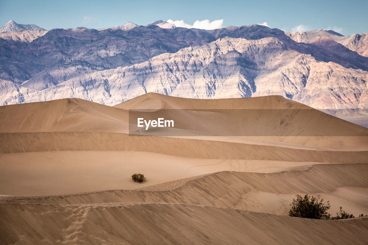 Scenic view of desert against mountains