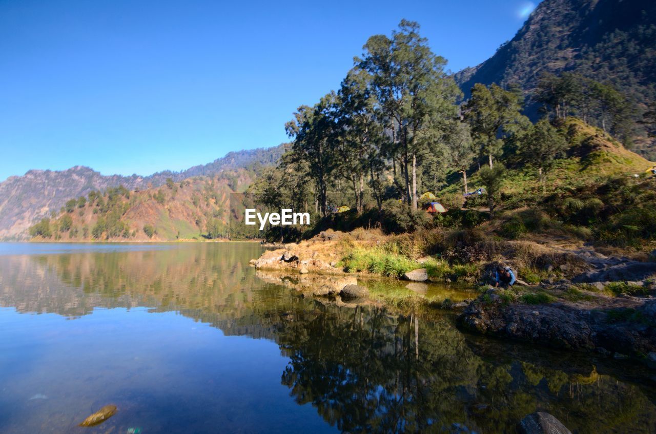 Scenic view of lake by trees against sky