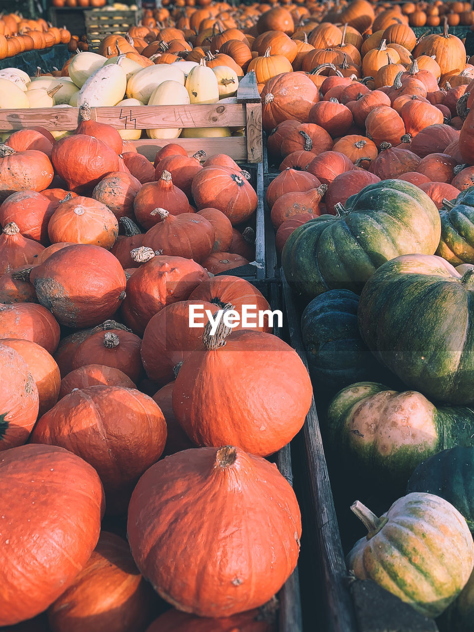 Full frame shot of pumpkins for sale at market stall