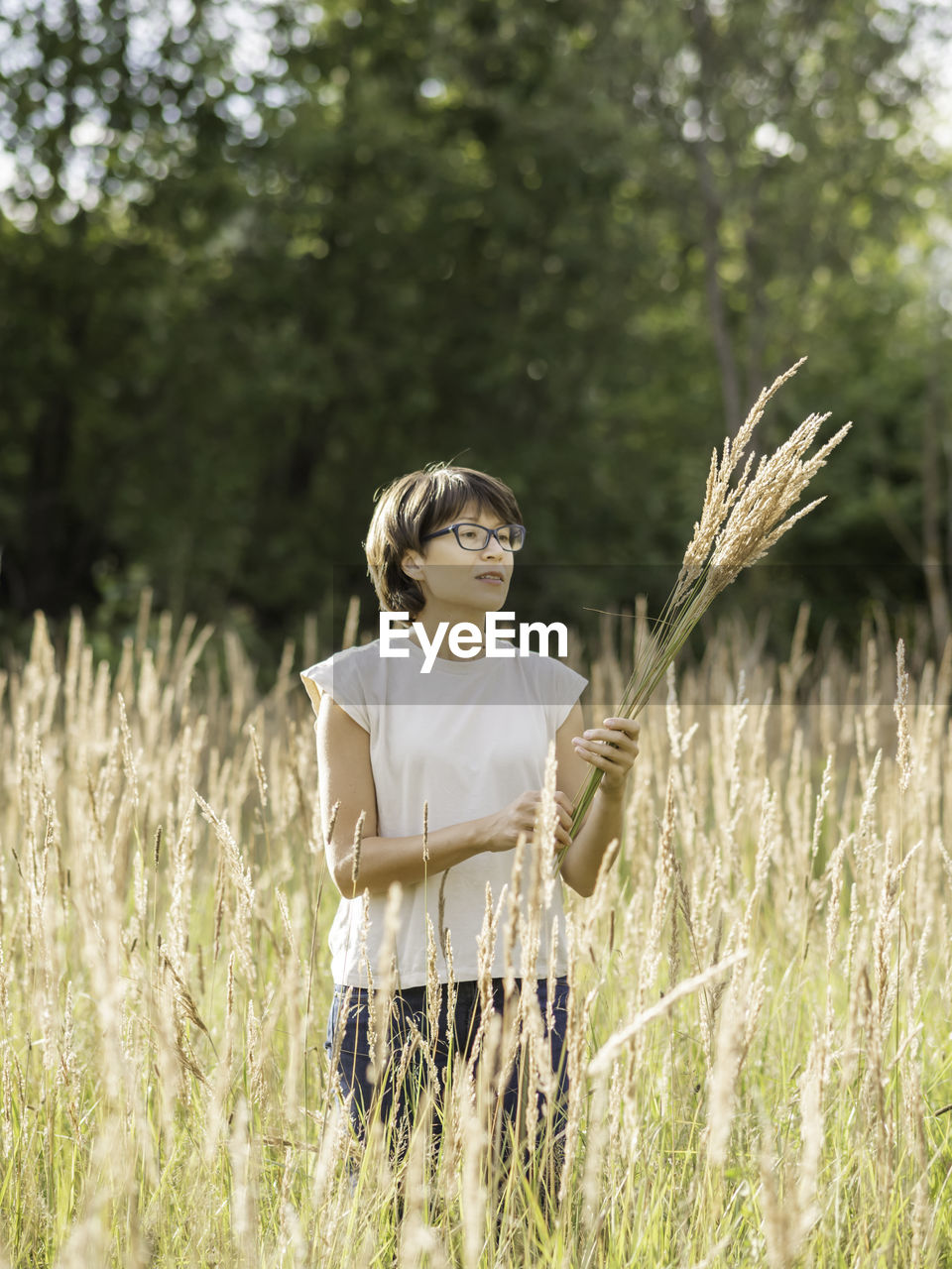 Woman is picking dried grass on autumn field. florist at work. using plants as decorative bouquet