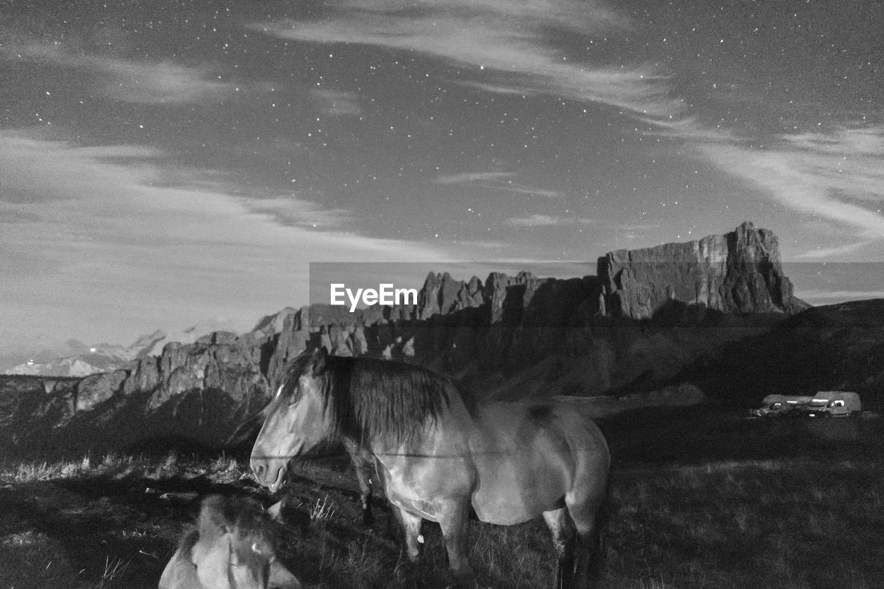 View of horse on mountain against sky at night