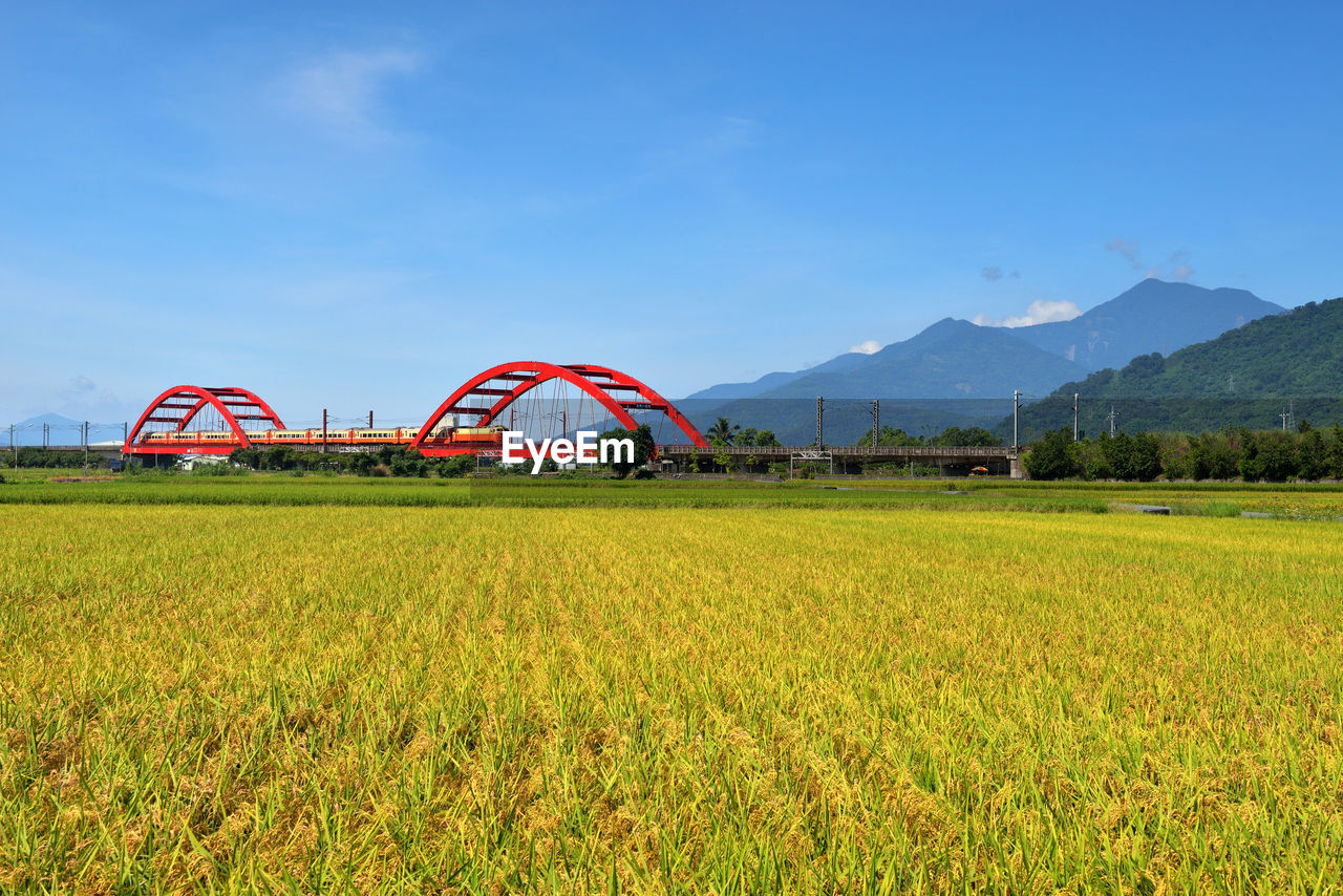 SCENIC VIEW OF FARM FIELD AGAINST SKY