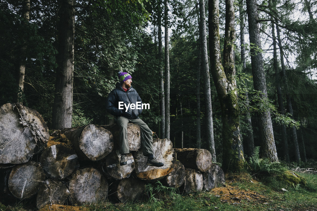 Man sitting on log against trees at forest