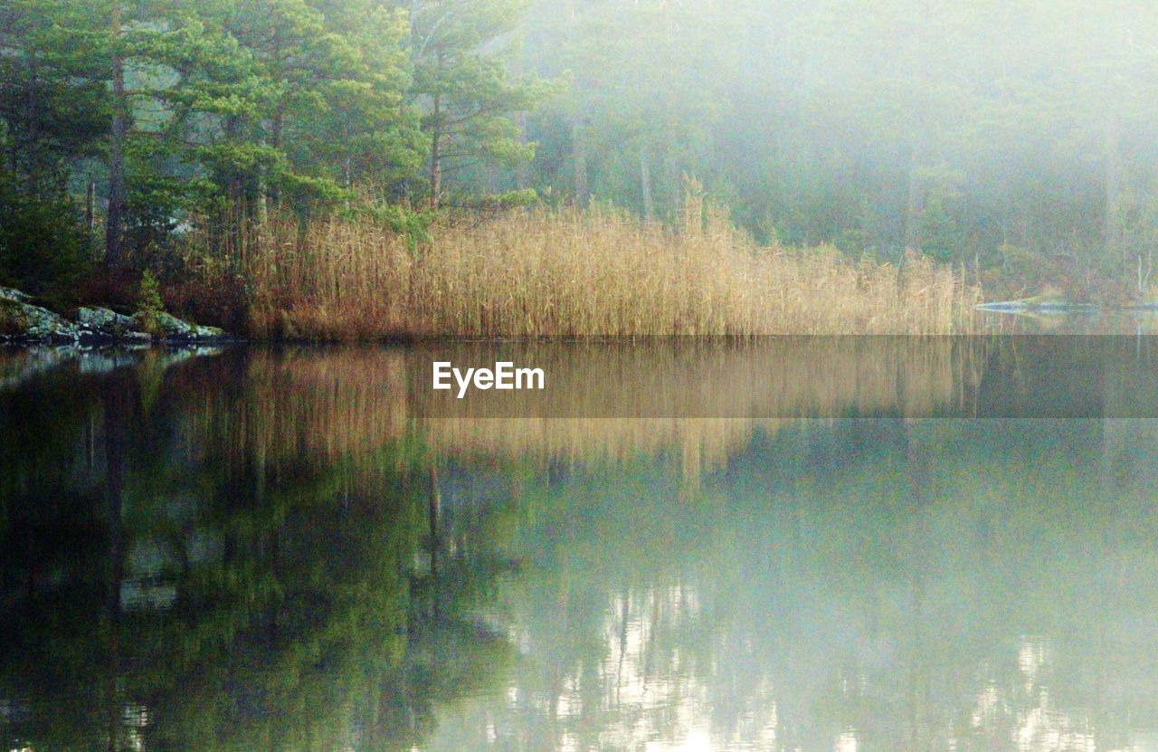 SCENIC VIEW OF CALM LAKE AGAINST SKY