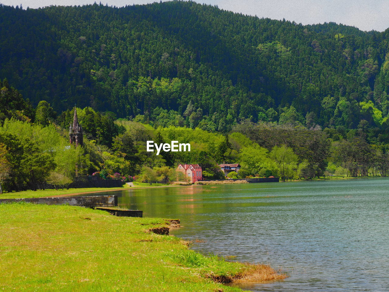 Scenic view of lake in forest