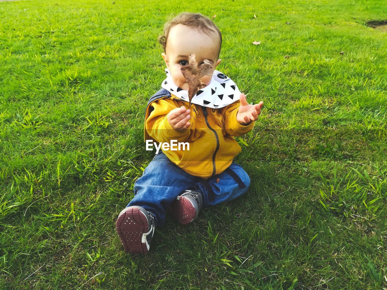 Full length of baby boy holding leaf while sitting on land