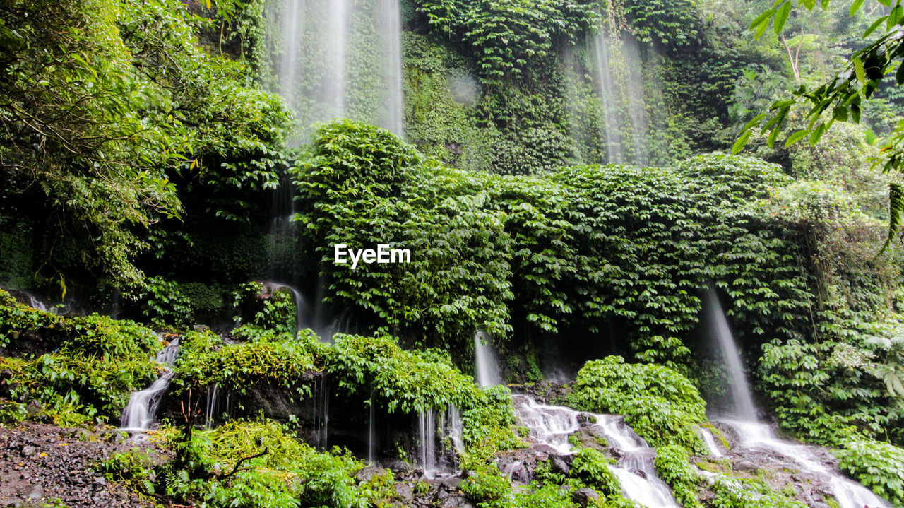 Scenic view of waterfall in forest