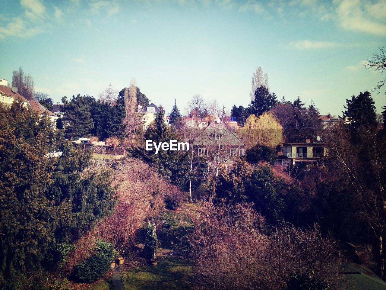 View of town and trees during autumn