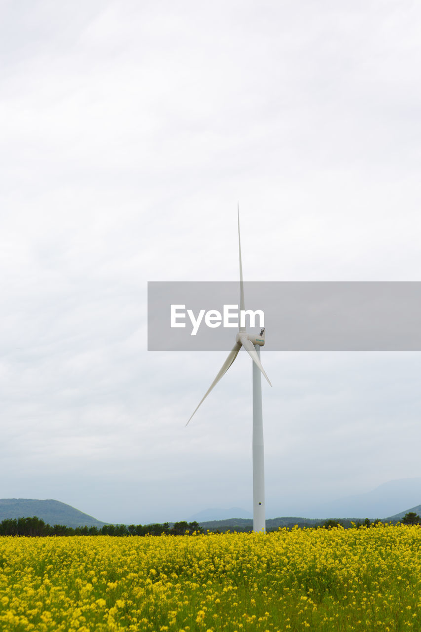 Wind turbines on field against sky