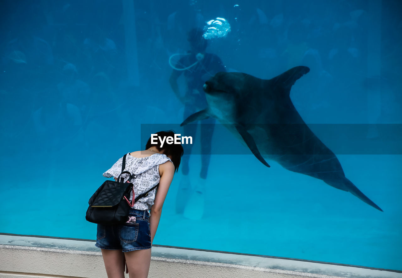 FULL LENGTH REAR VIEW OF FISH SWIMMING UNDERWATER