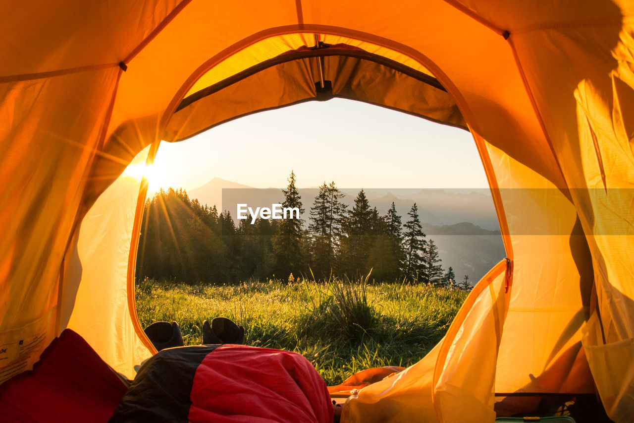 Close-up of tent on grass field against sky