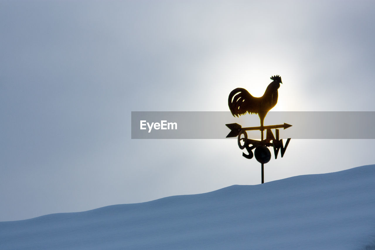 Low angle view of silhouette bird on mountain against sky